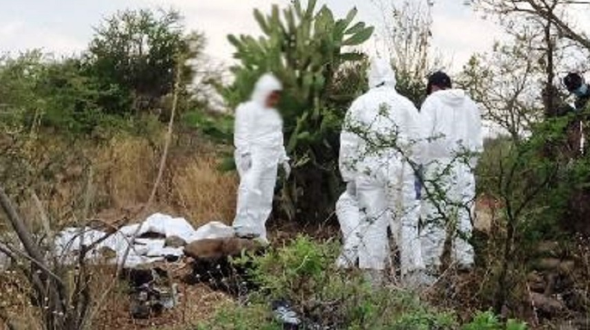 Encuentran Fosa Clandestina Con 12 Cuerpos En Coeneo 9074